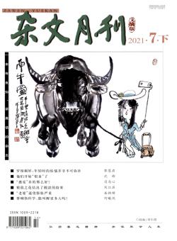 杂文月刊期刊